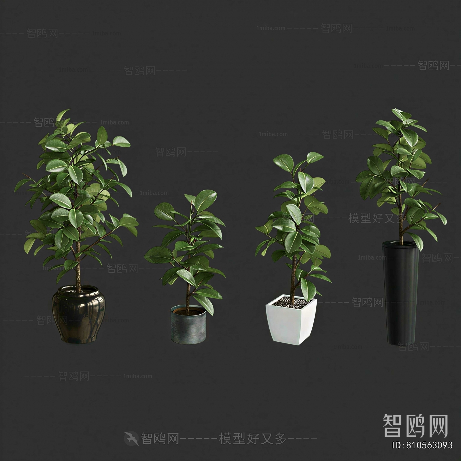 Modern Ground Green Plant Potted Plants