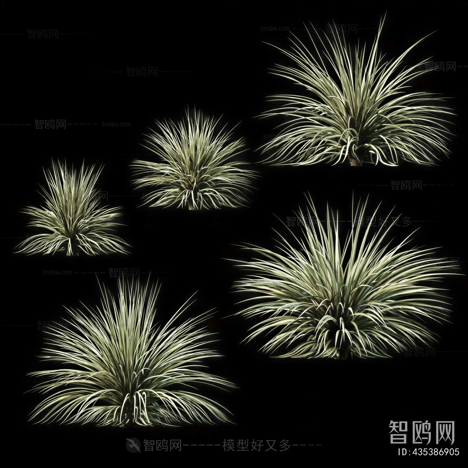 Modern The Grass