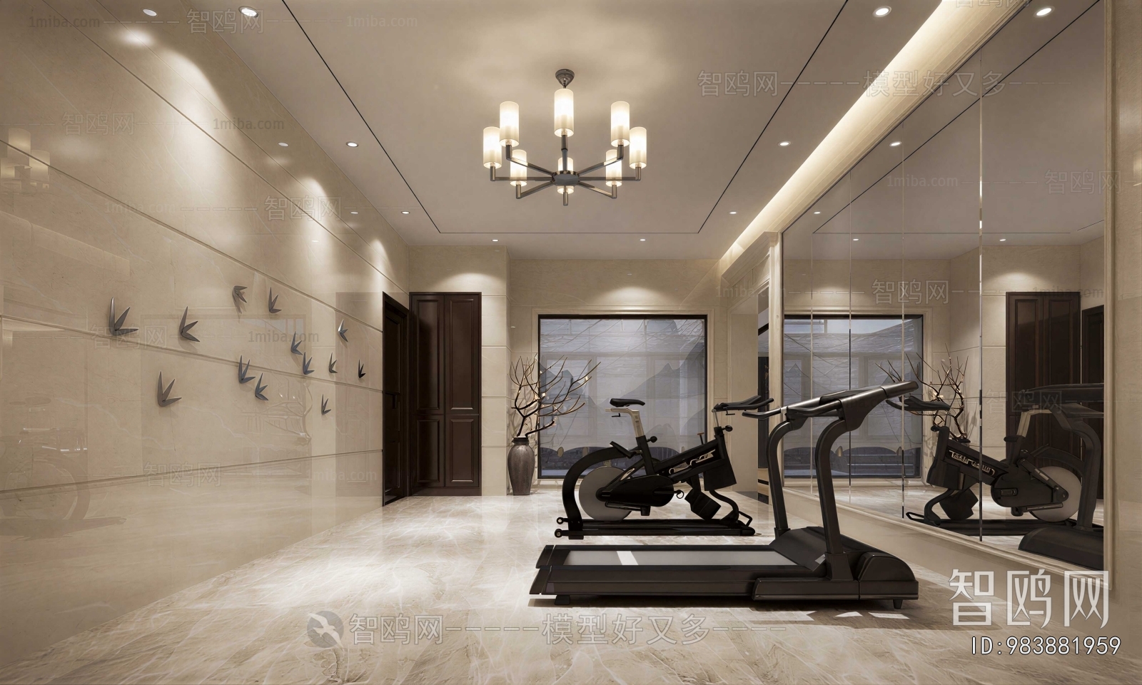 Modern Home Fitness Room