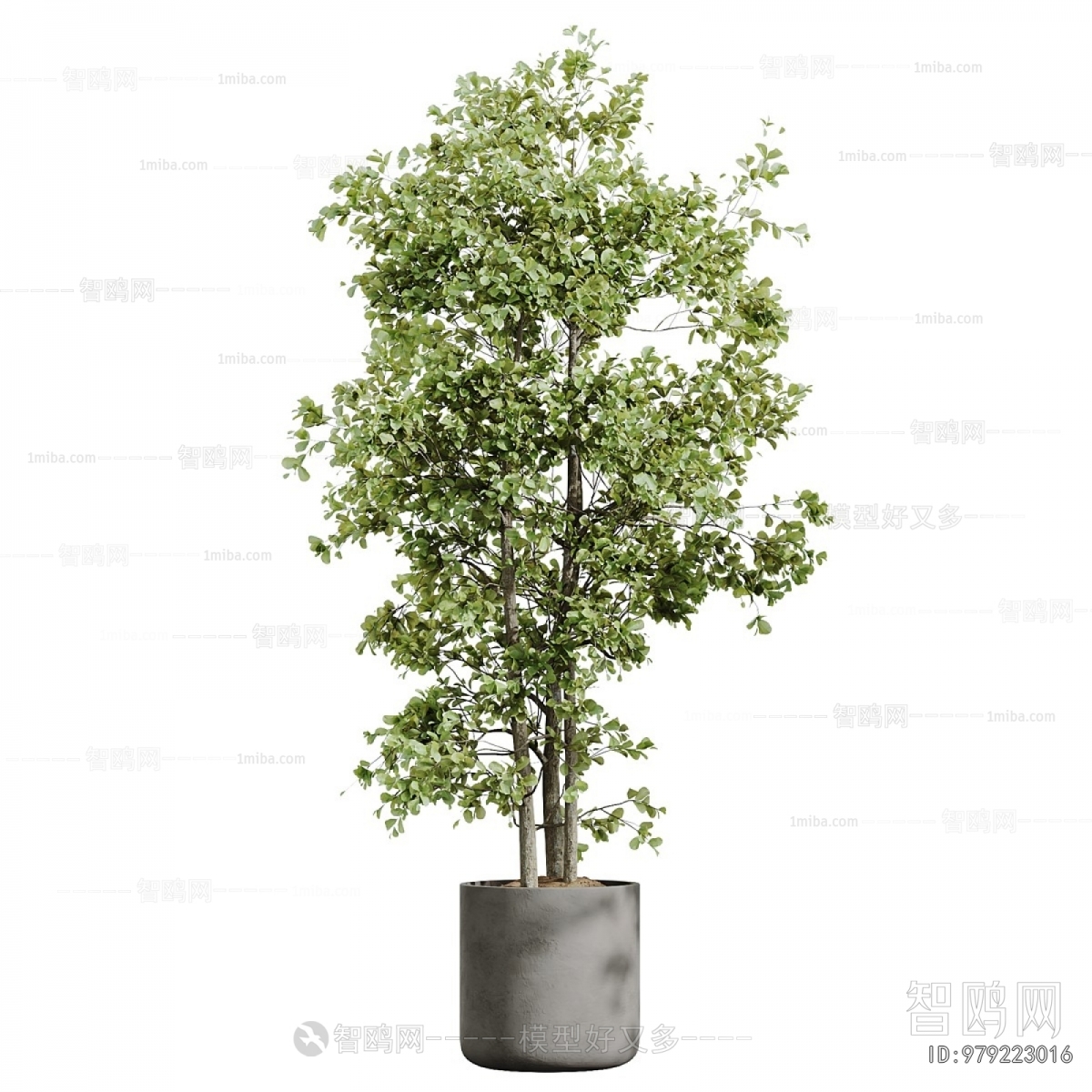 Modern Ground Green Plant Potted Plants