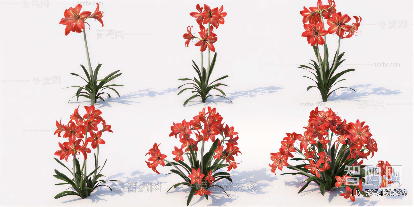 Modern Flowers And Grass