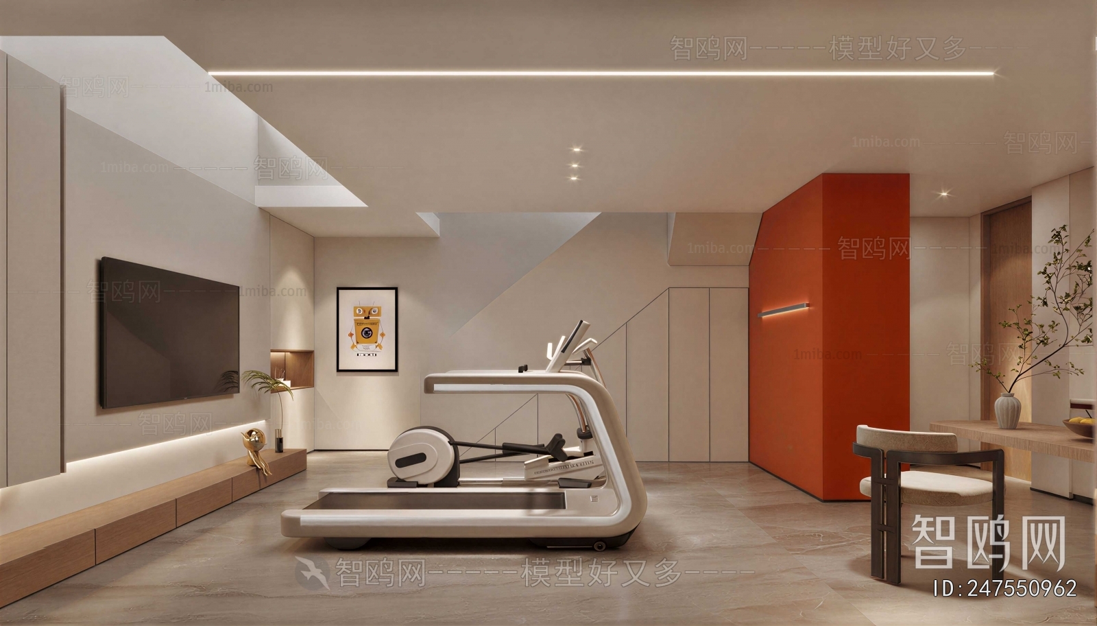Modern Home Fitness Room