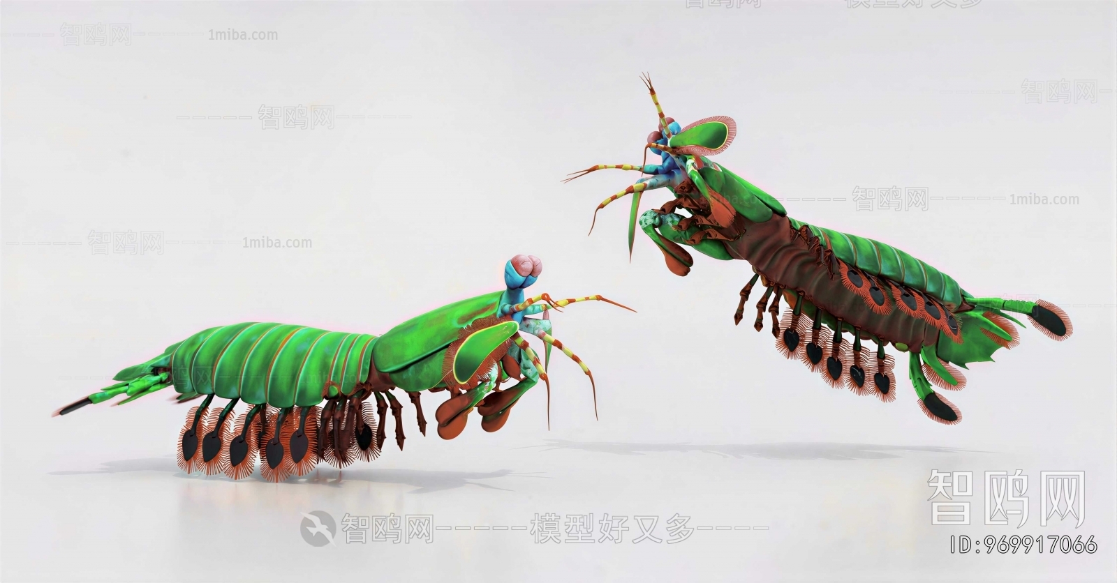 Modern Other Animals