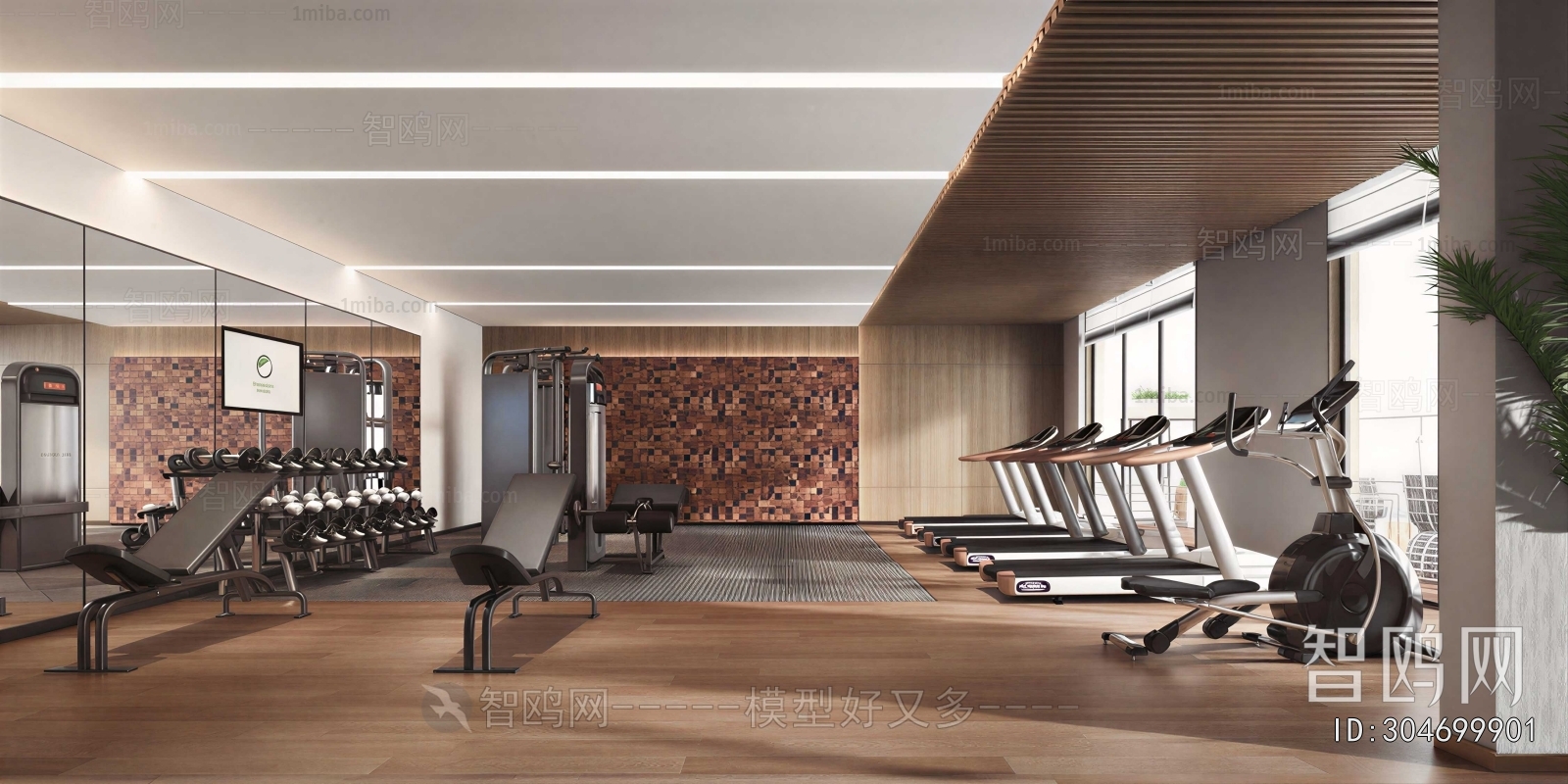 Modern Gym
