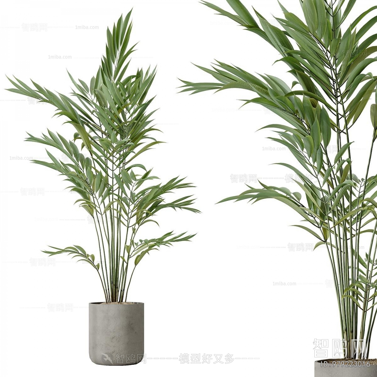 Modern Ground Green Plant Potted Plants