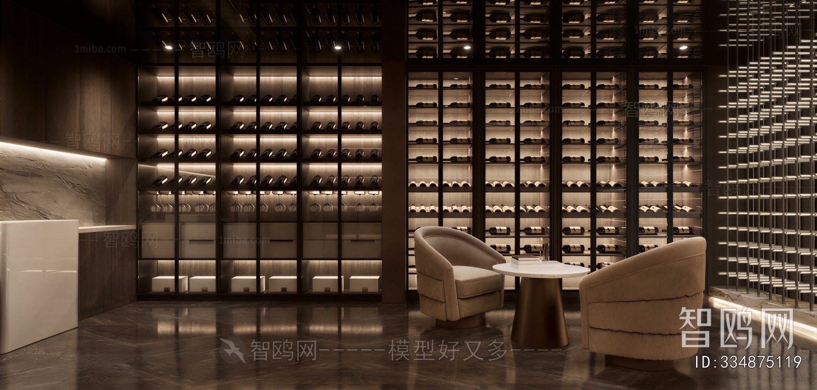 Modern Wine Cellar/Wine Tasting Room