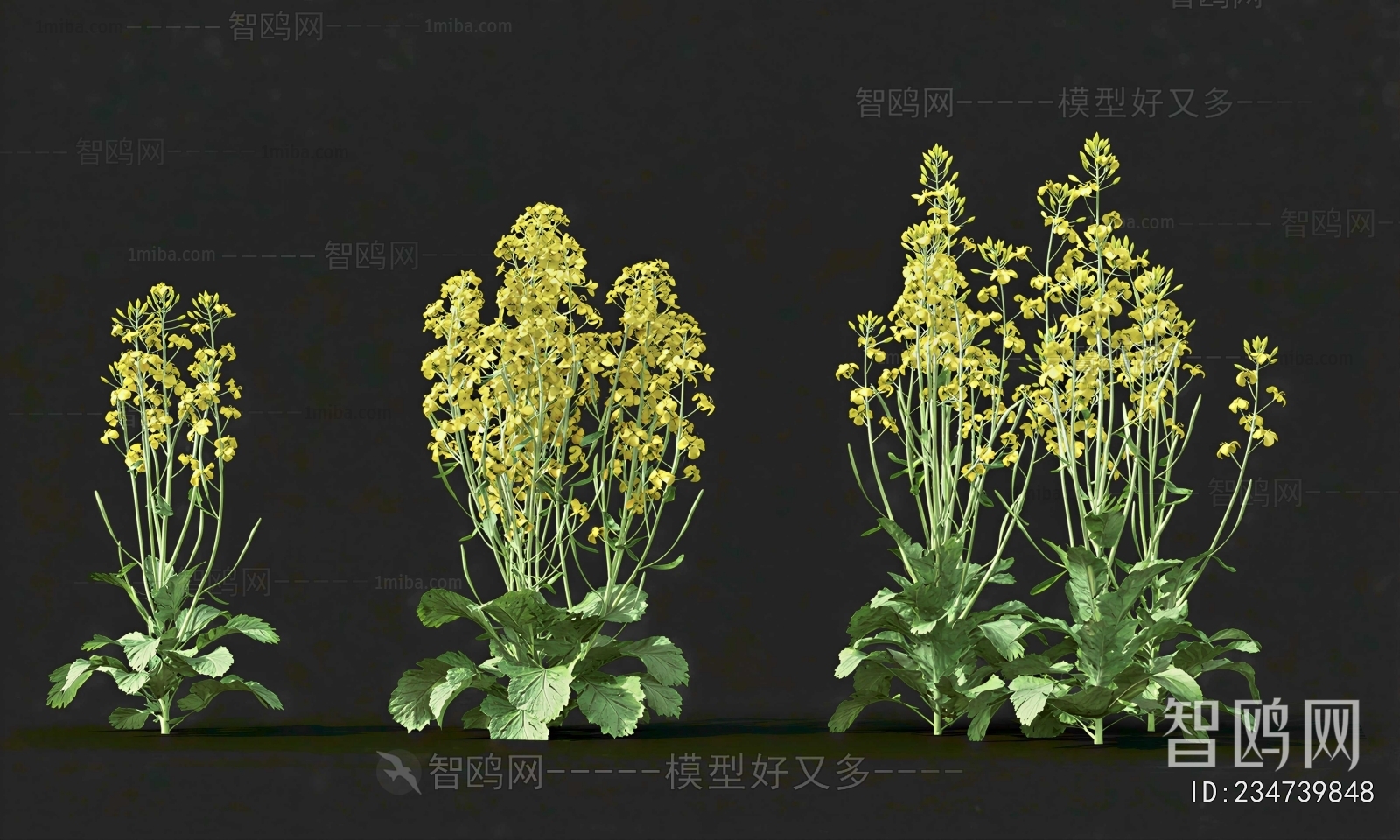 Modern Flowers And Grass