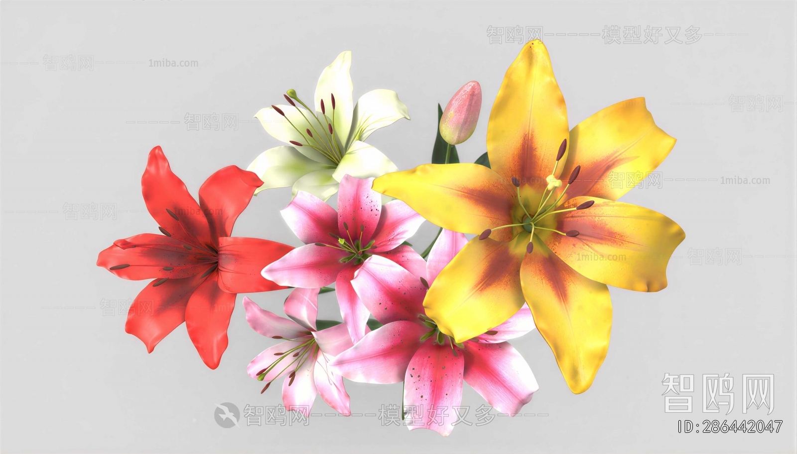 Modern Flowers And Grass