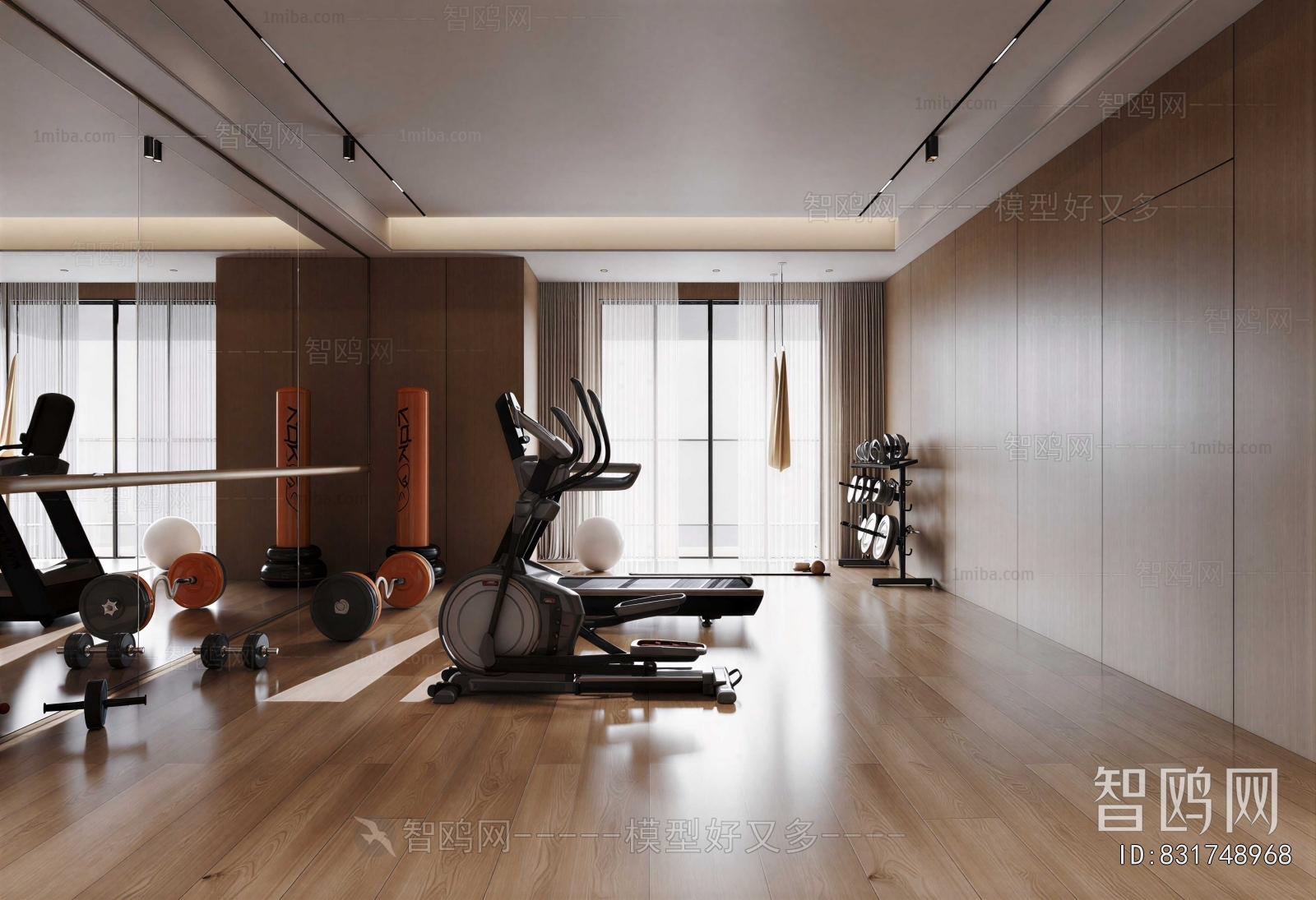 Modern Home Fitness Room