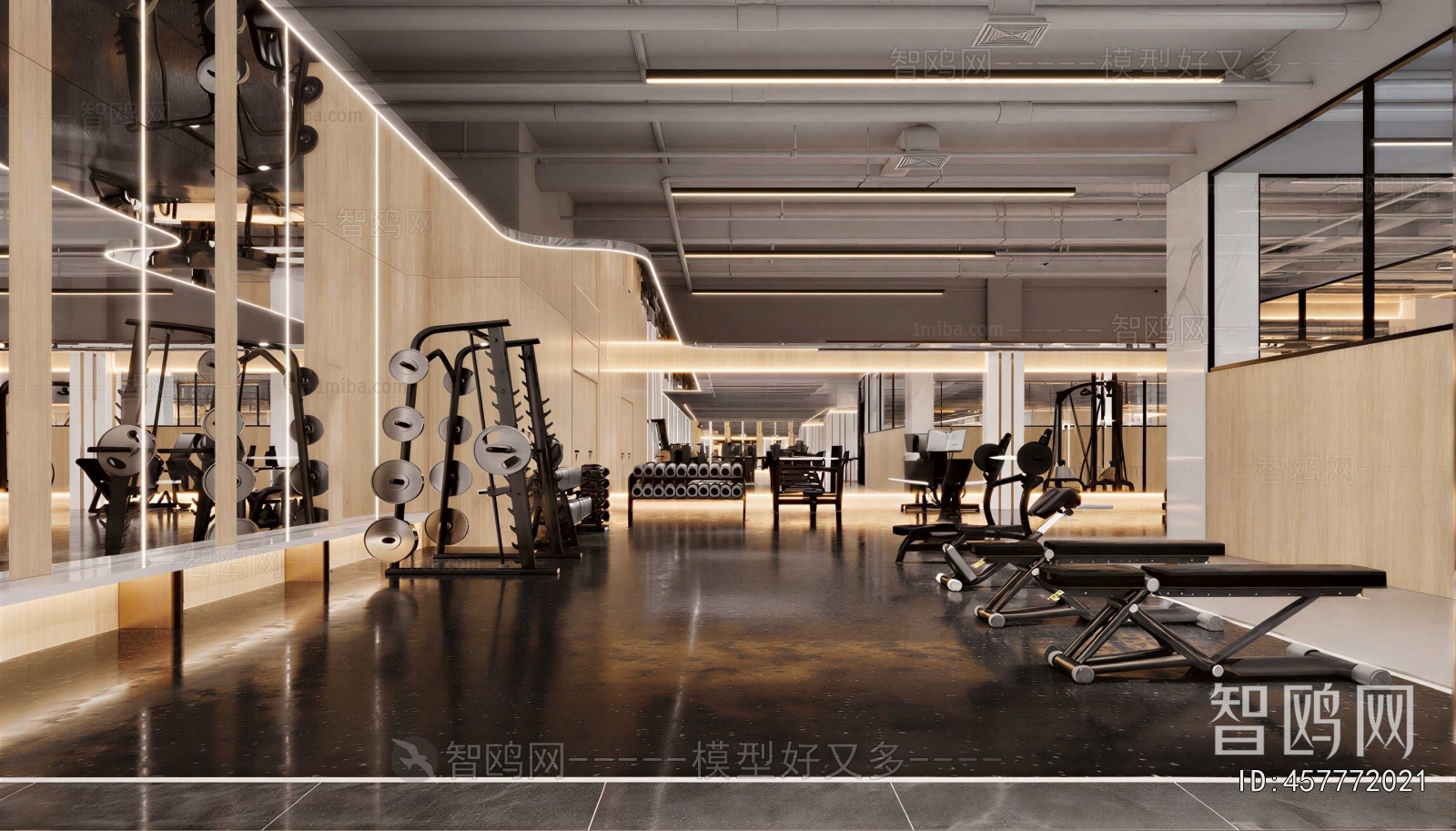 Modern Gym