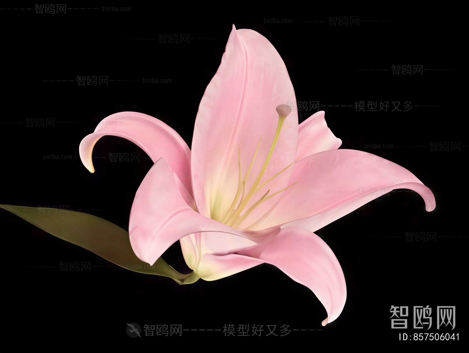 Modern Flowers And Grass
