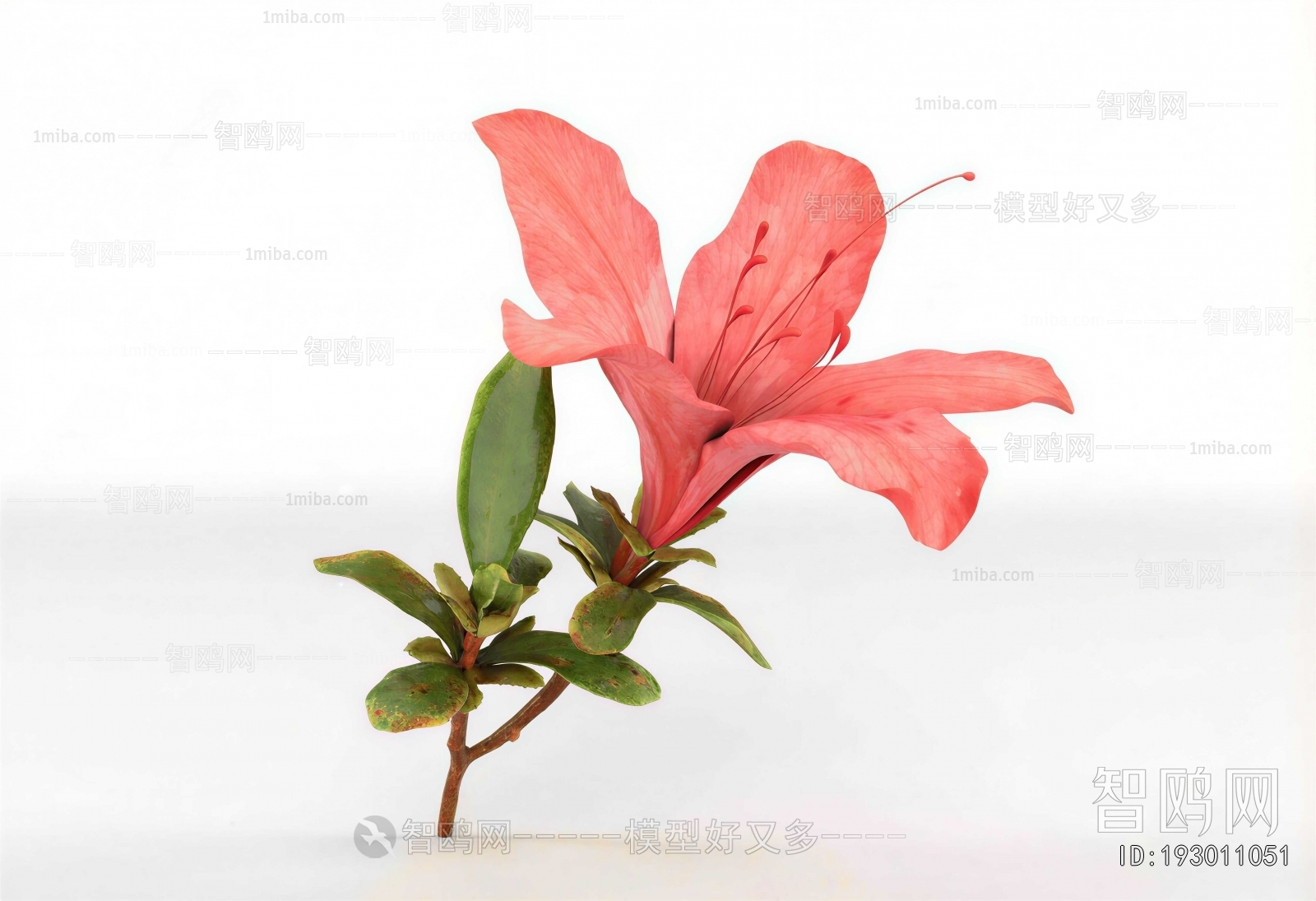 Modern Flowers And Grass