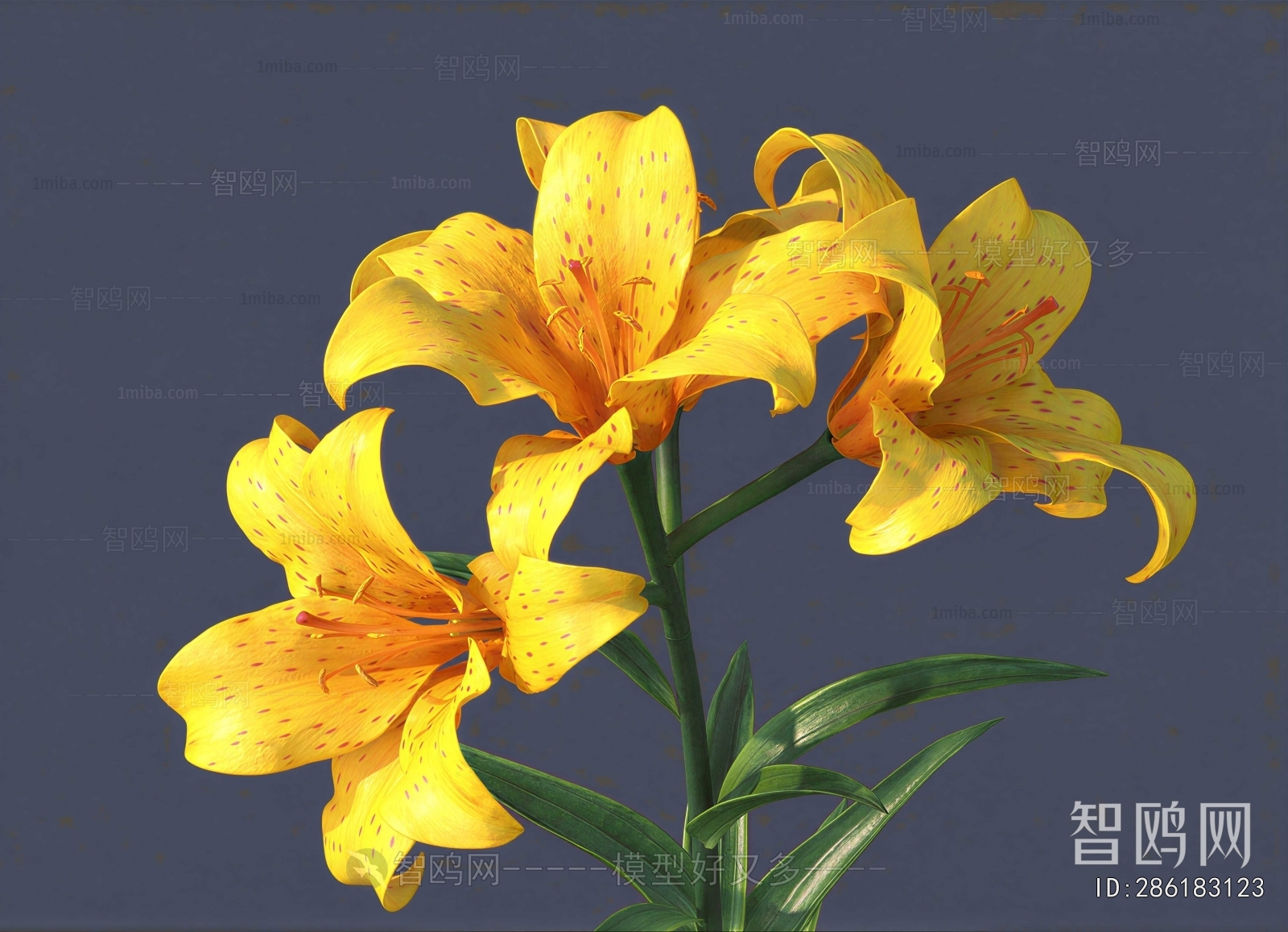 Modern Flowers And Grass