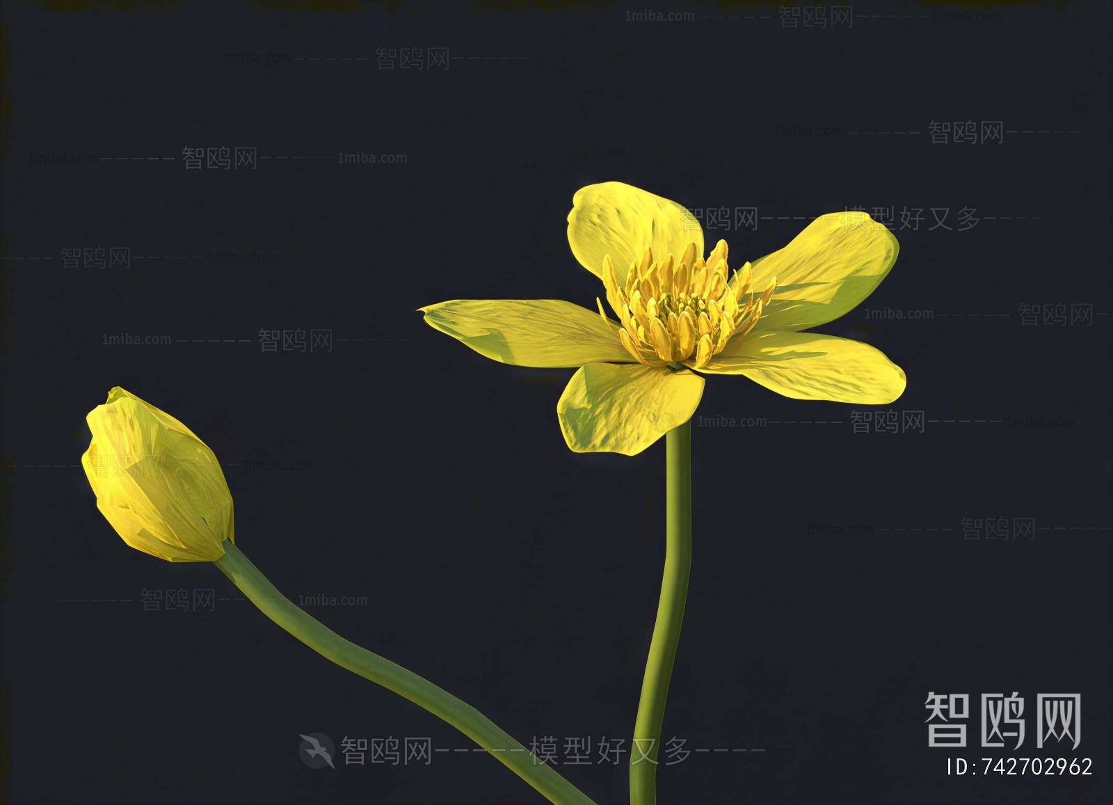 Modern Flowers And Grass