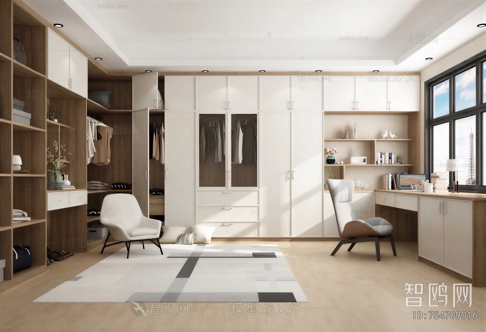 Modern Clothes Storage Area