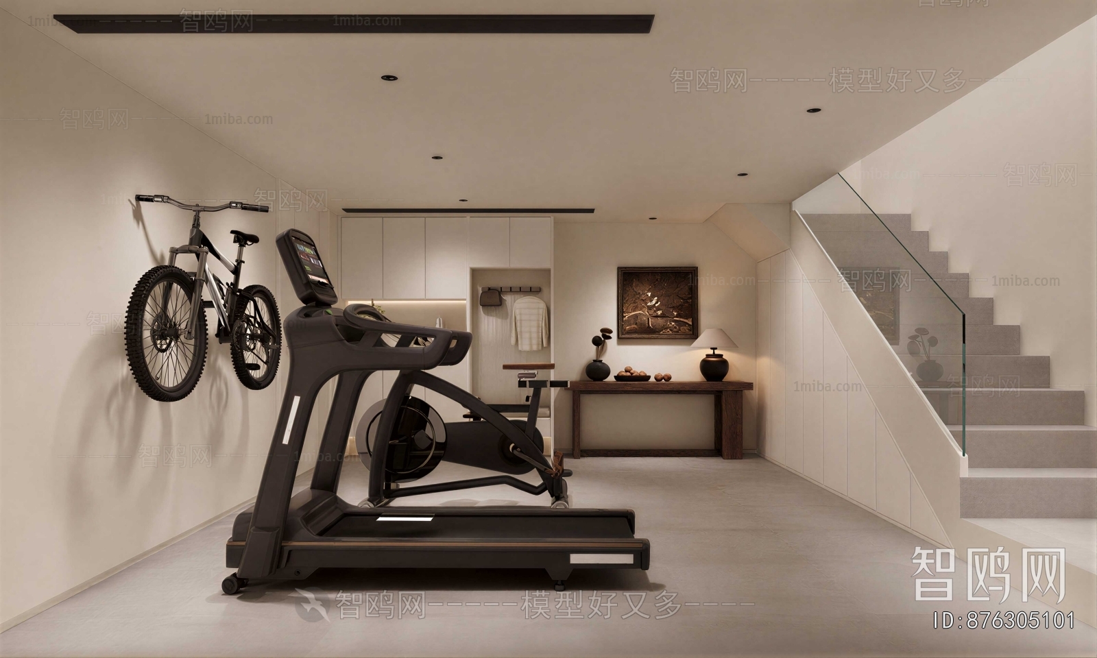 Modern Home Fitness Room