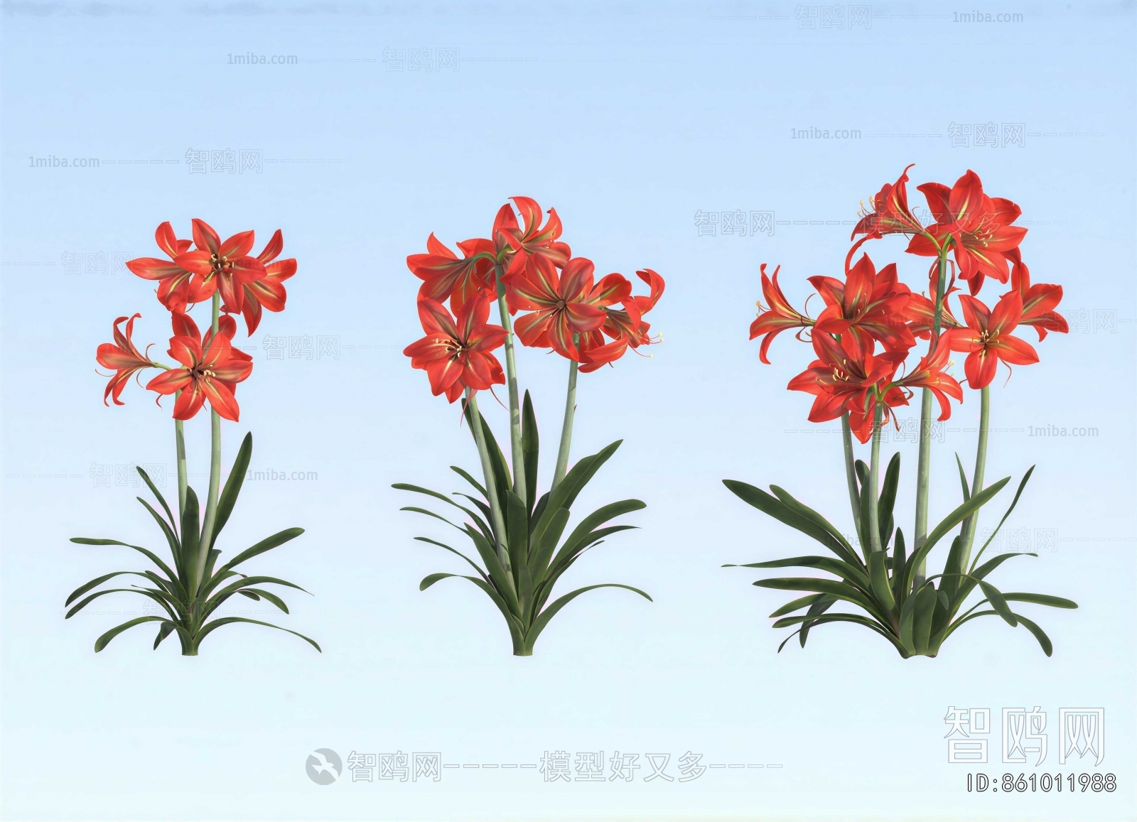 Modern Flowers And Grass