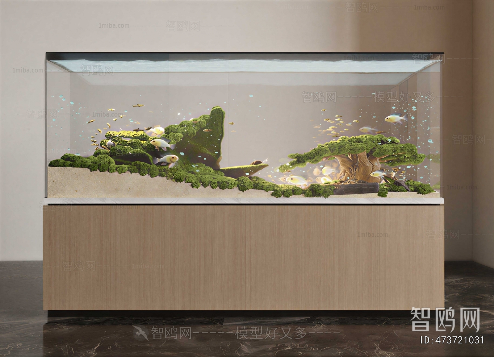 Modern Fish Tank