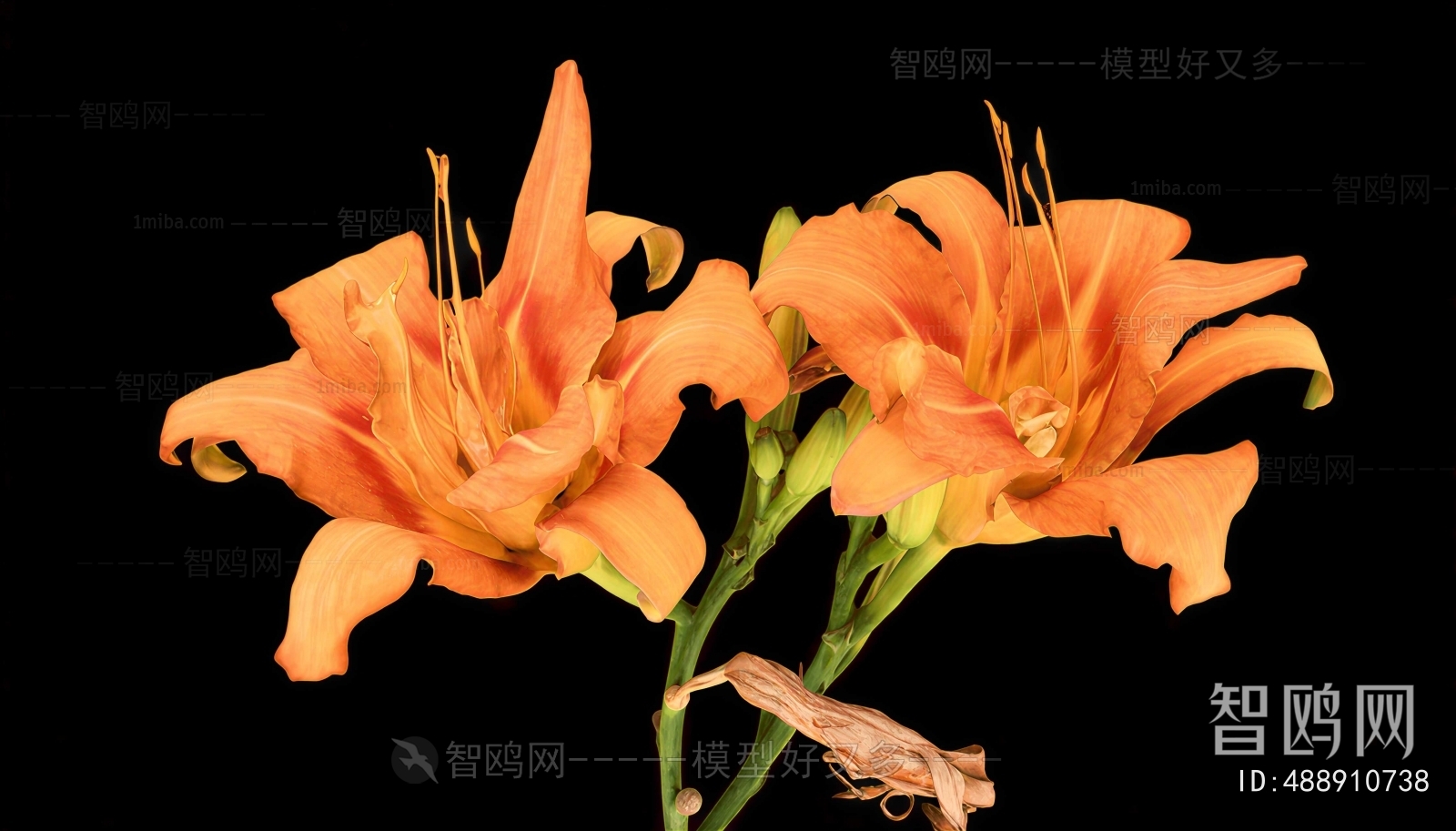 Modern Flowers And Grass