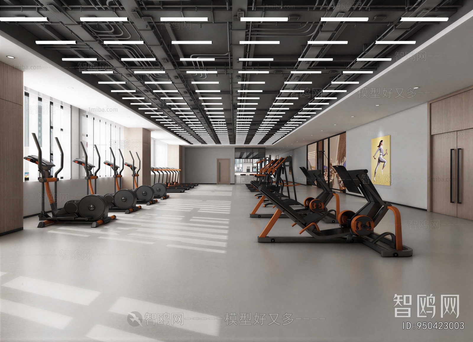 Modern Gym