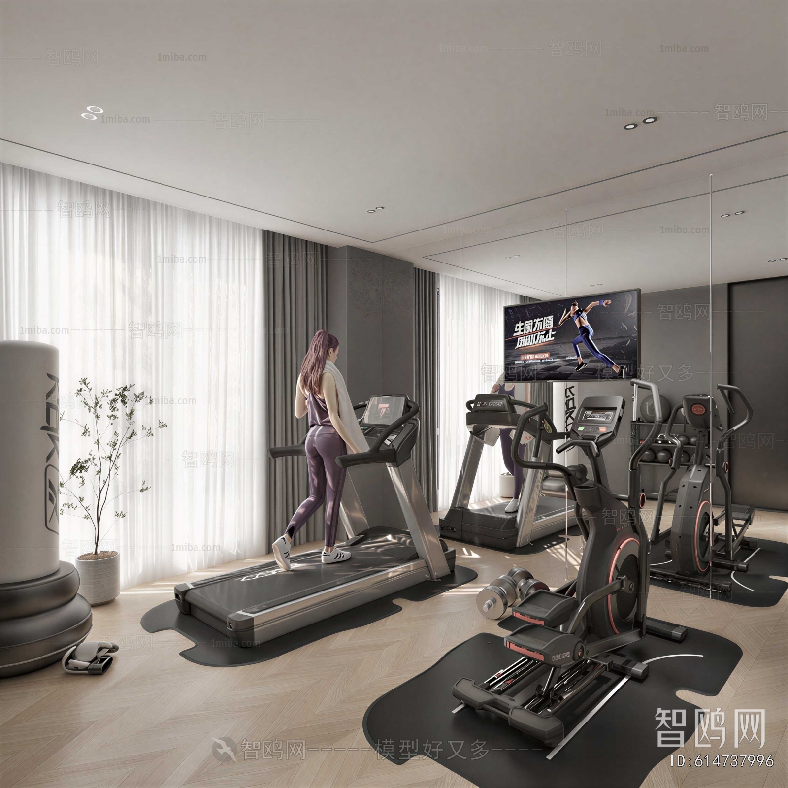Modern Home Fitness Room