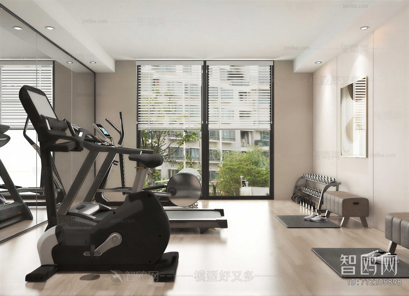 Modern Home Fitness Room