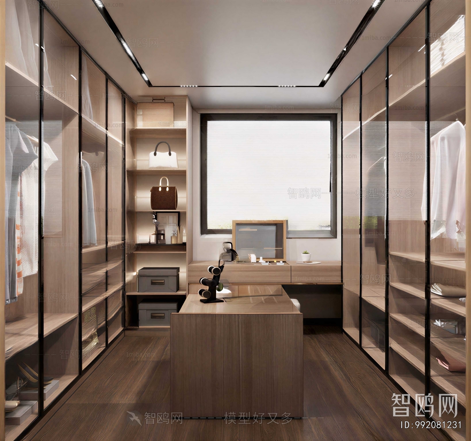 Modern Clothes Storage Area