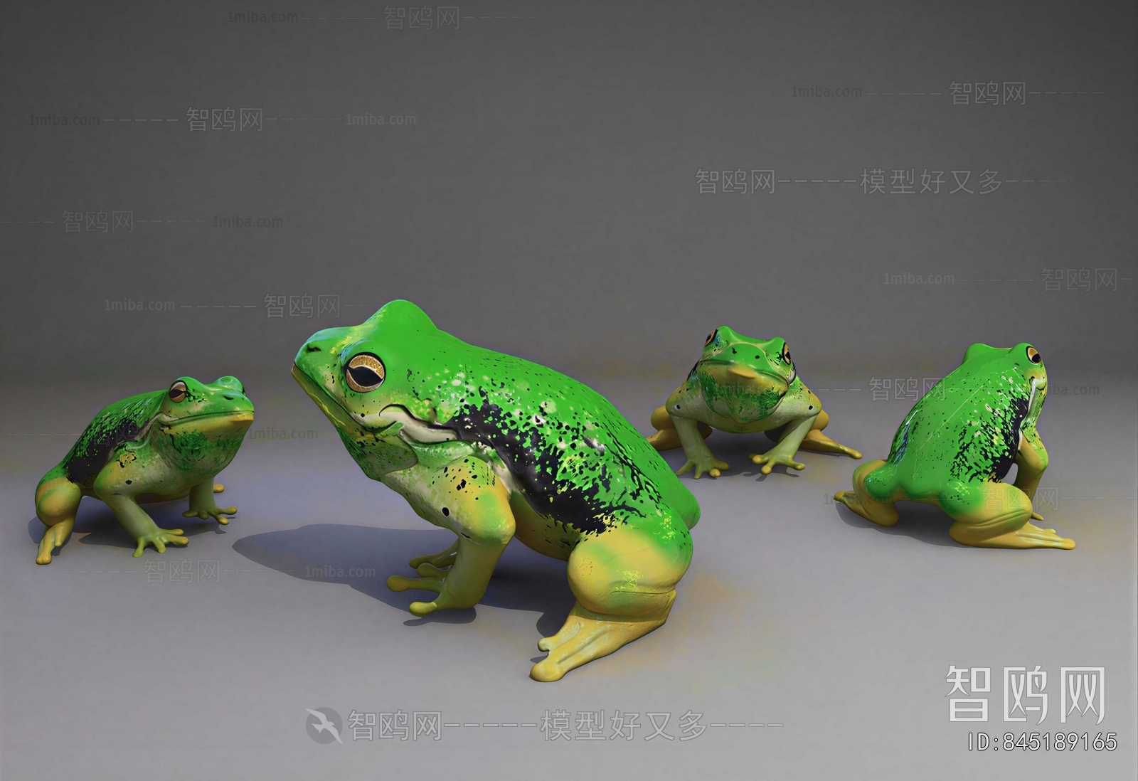 Modern Aquatic Animals