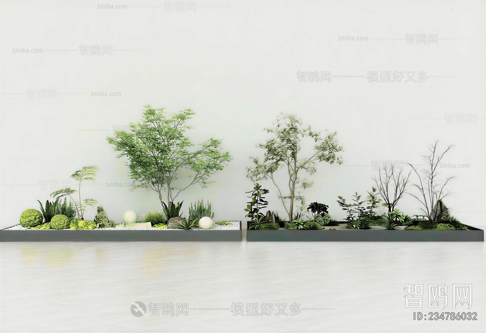 Modern Plant Landscaping