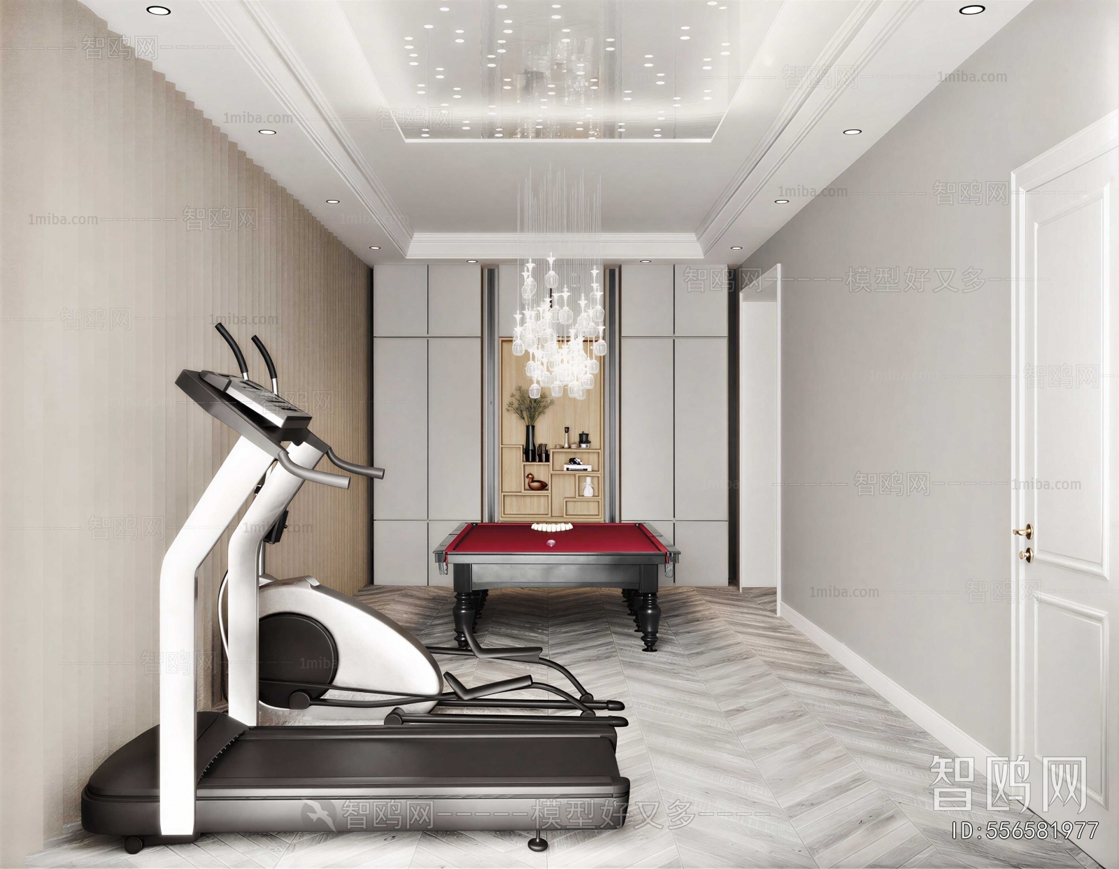 Modern Home Fitness Room
