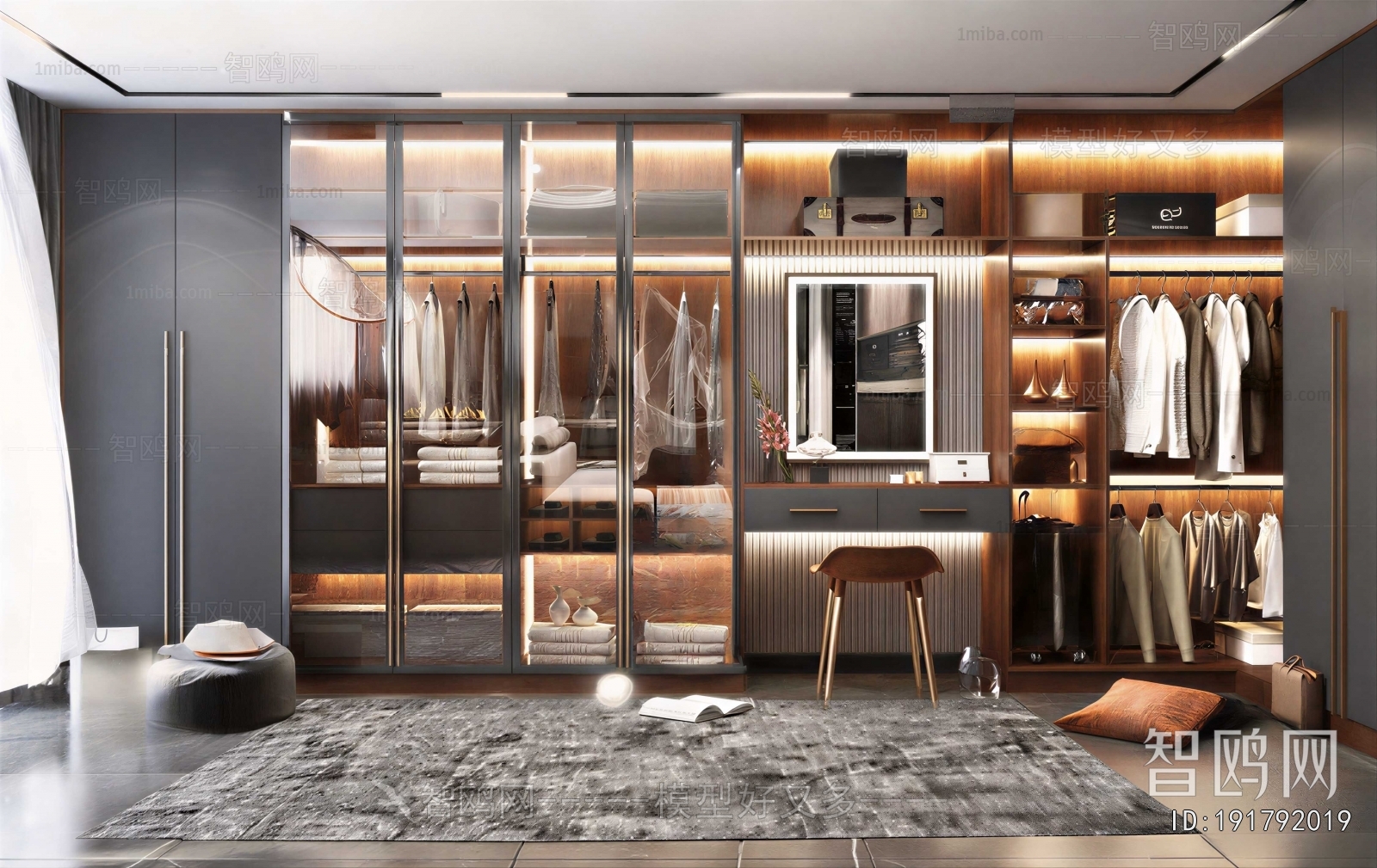 Modern Clothes Storage Area