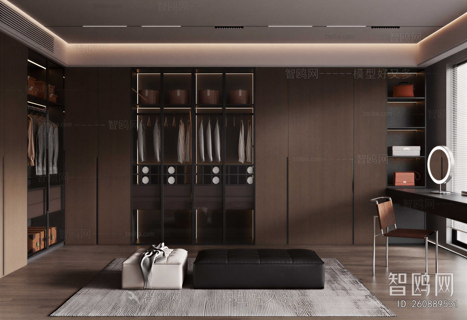 Modern Clothes Storage Area