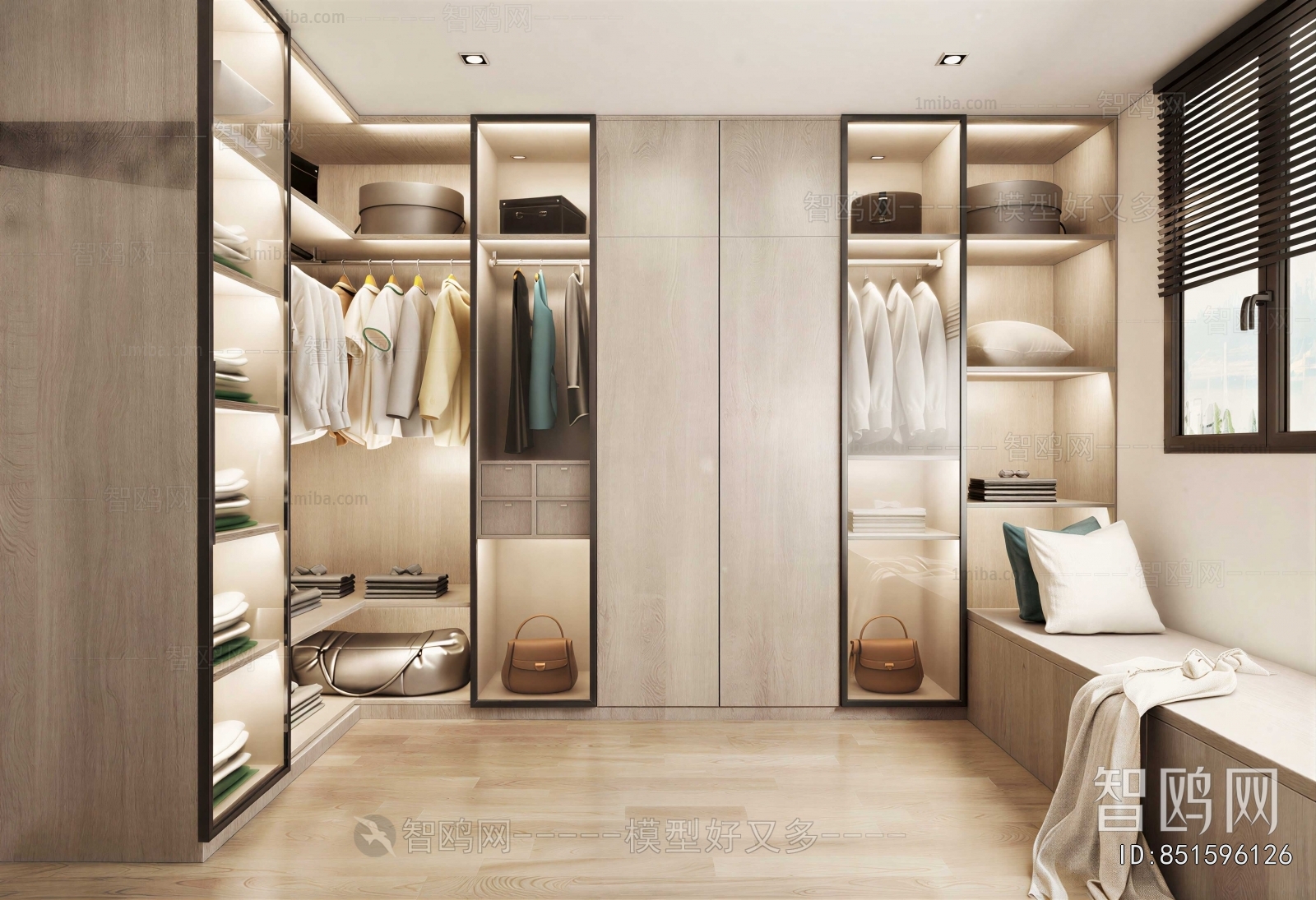 Modern Clothes Storage Area