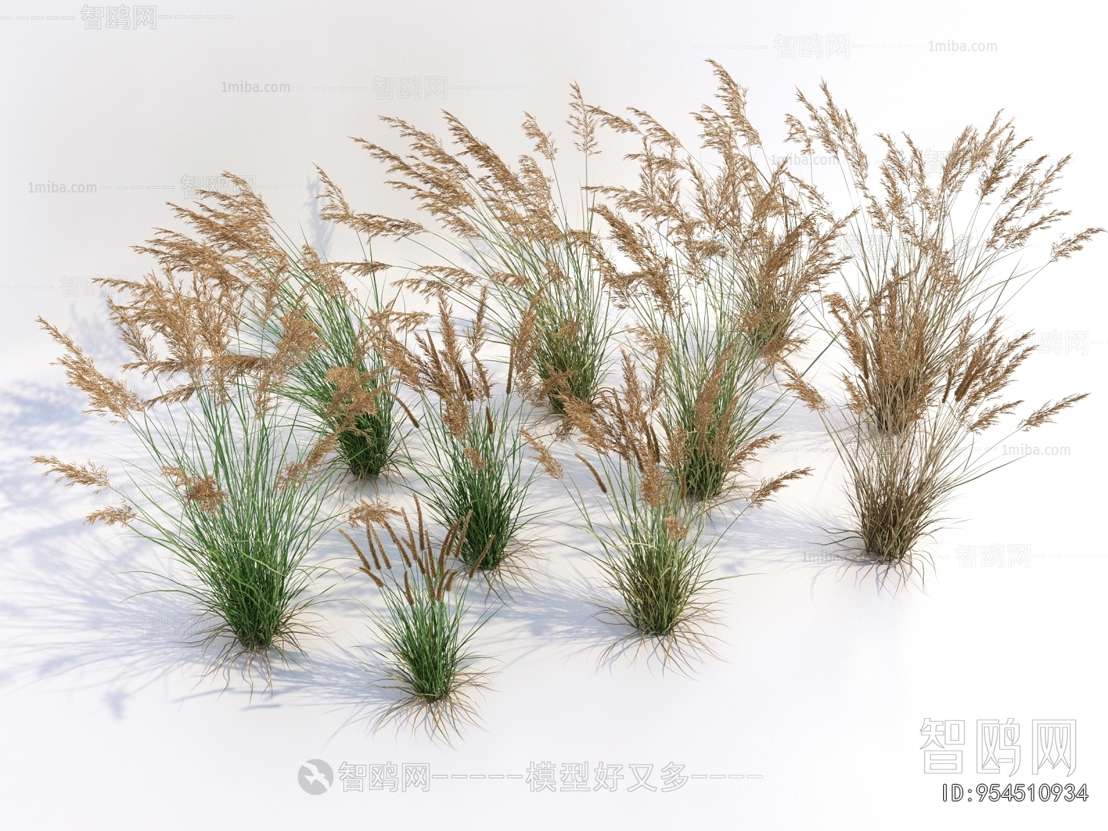 Modern The Grass