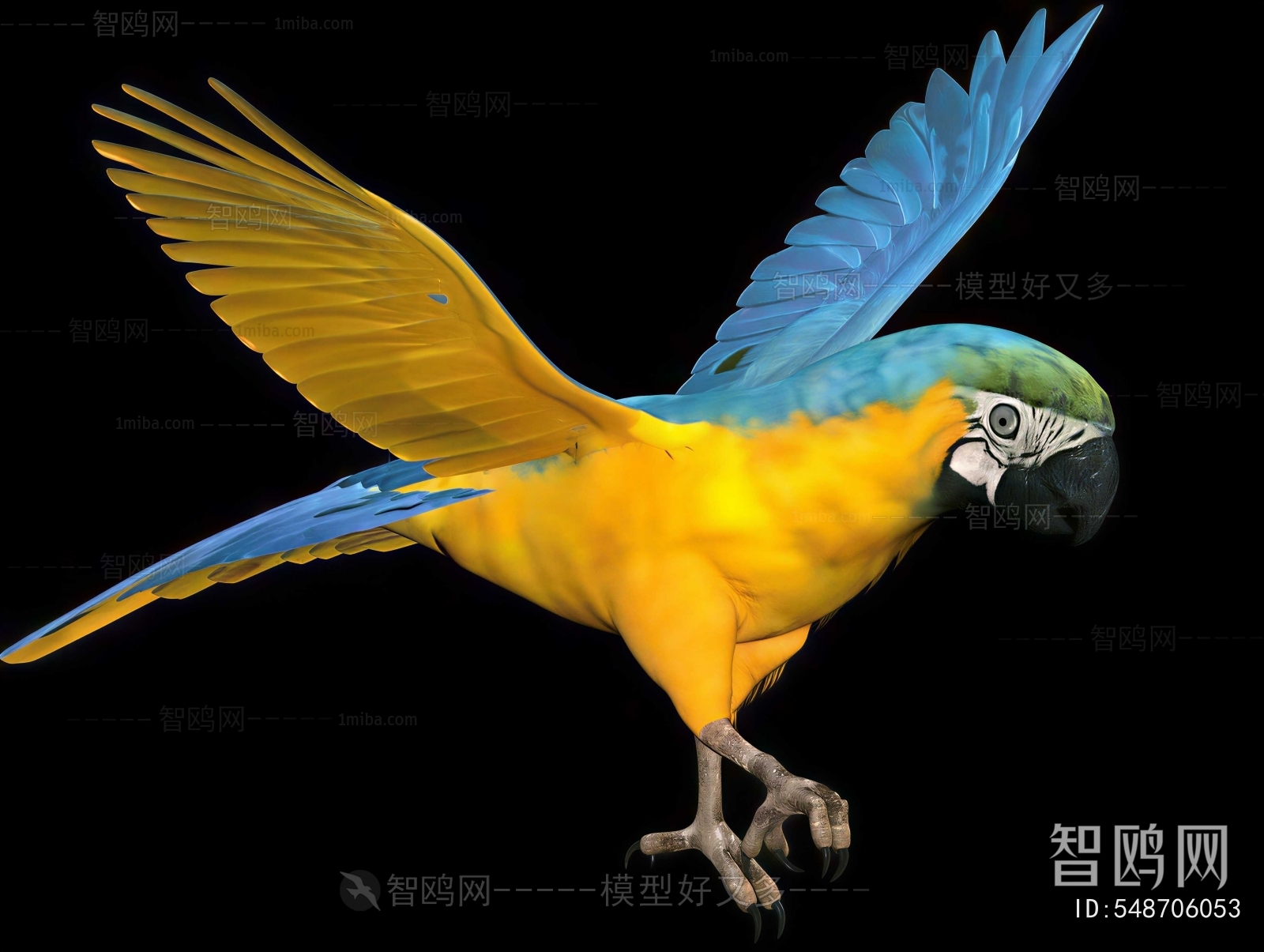 Modern Flying Animals