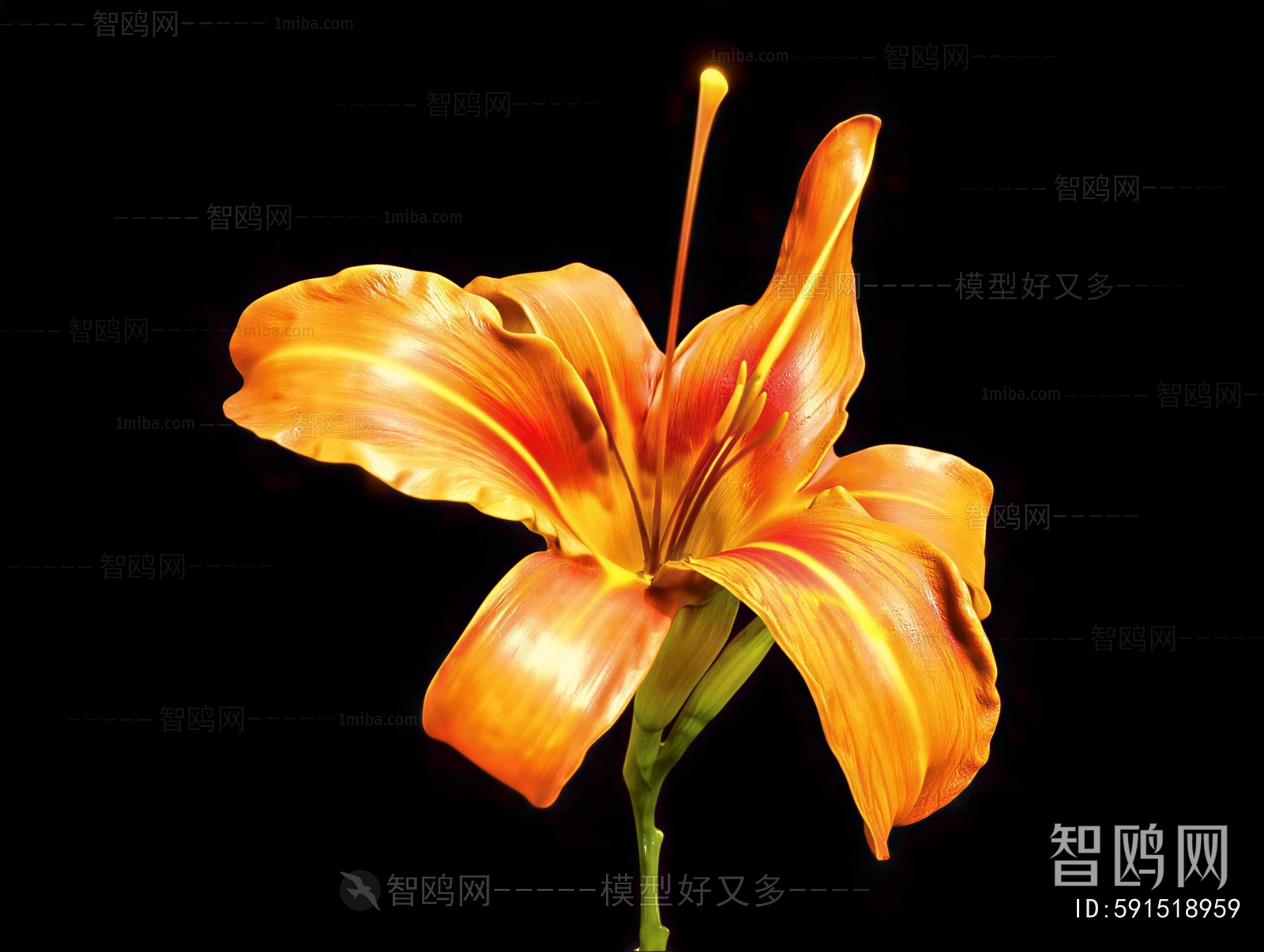 Modern Flowers And Grass