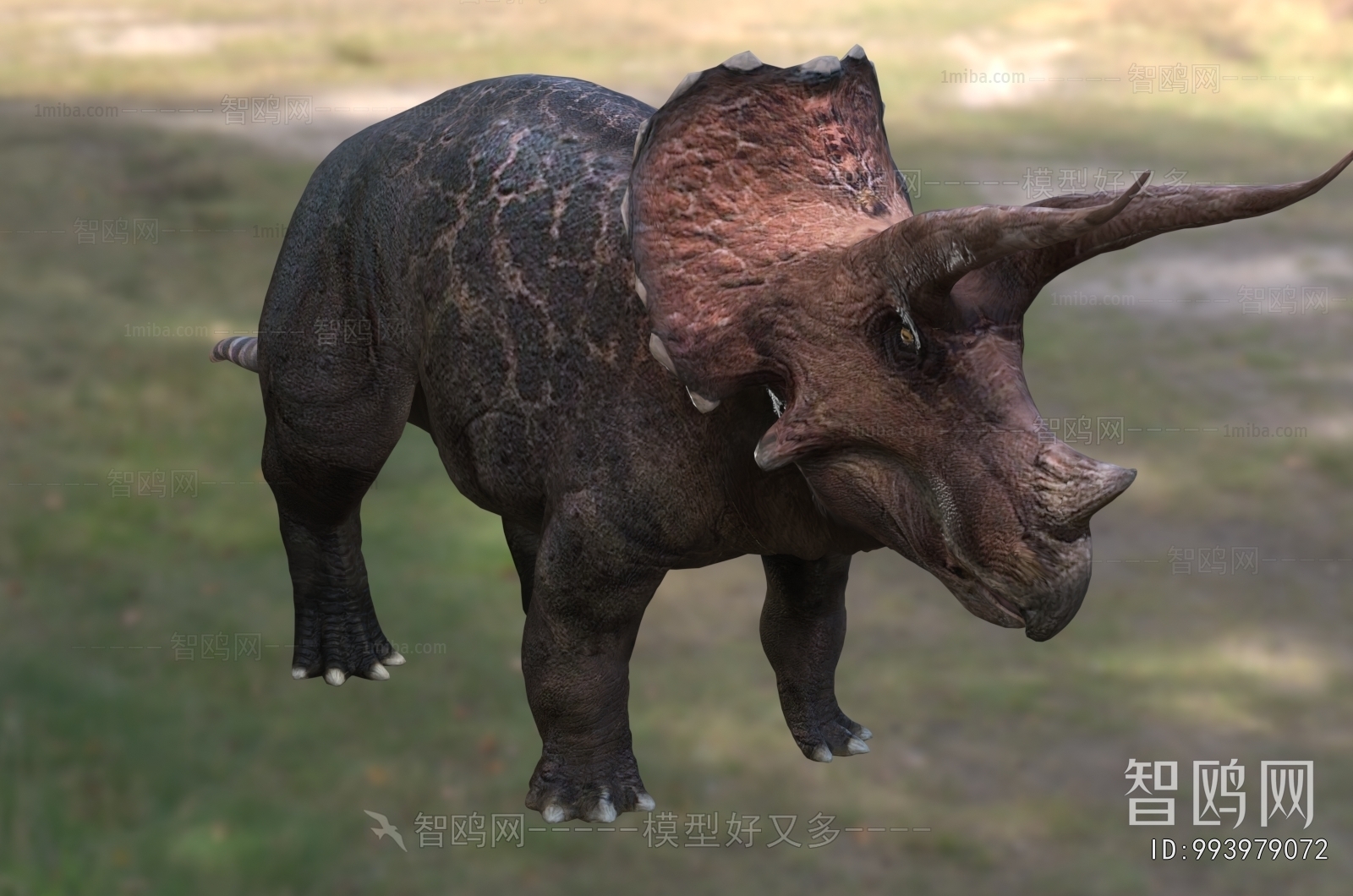 Modern Other Animals