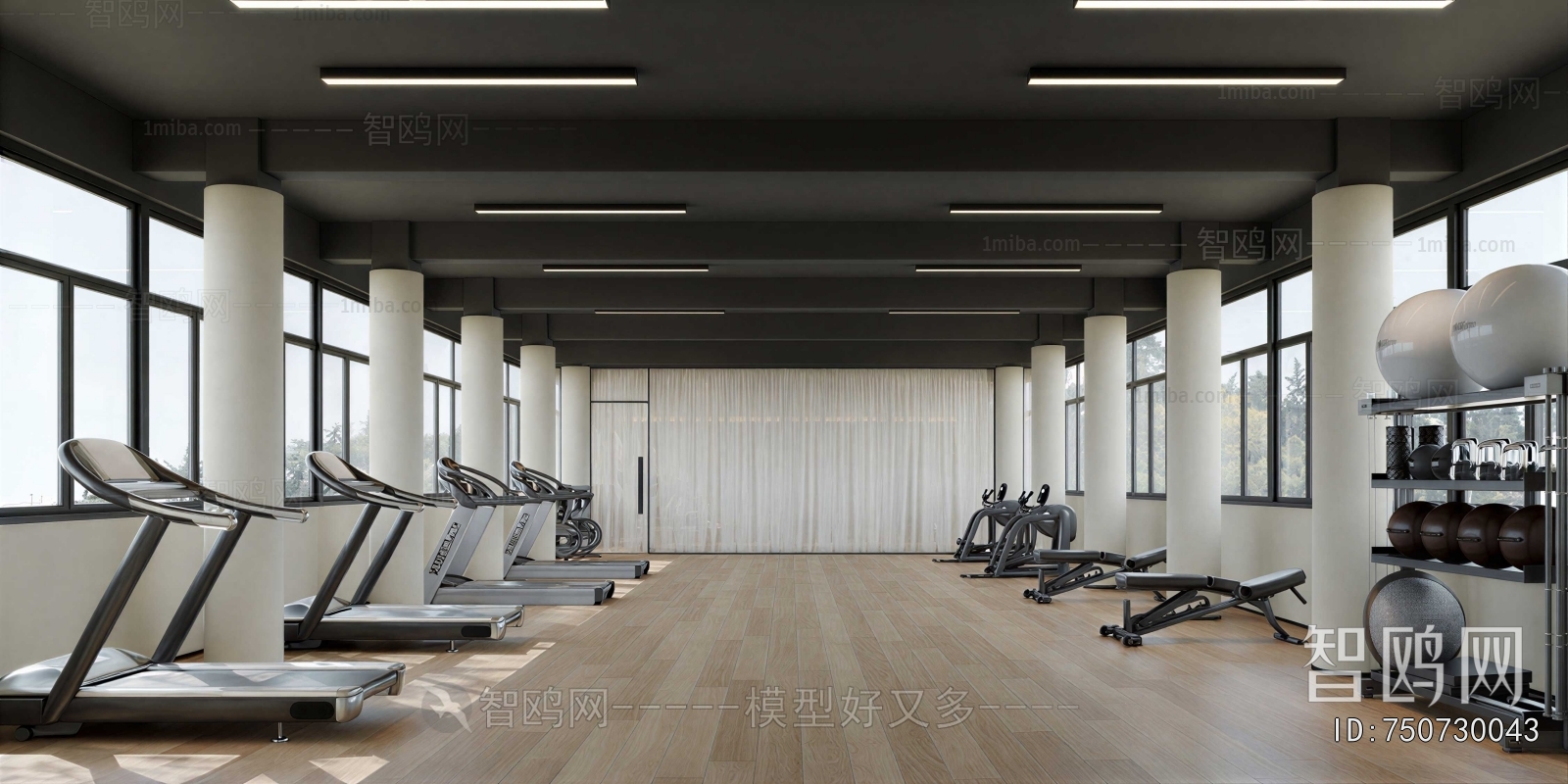 Modern Gym
