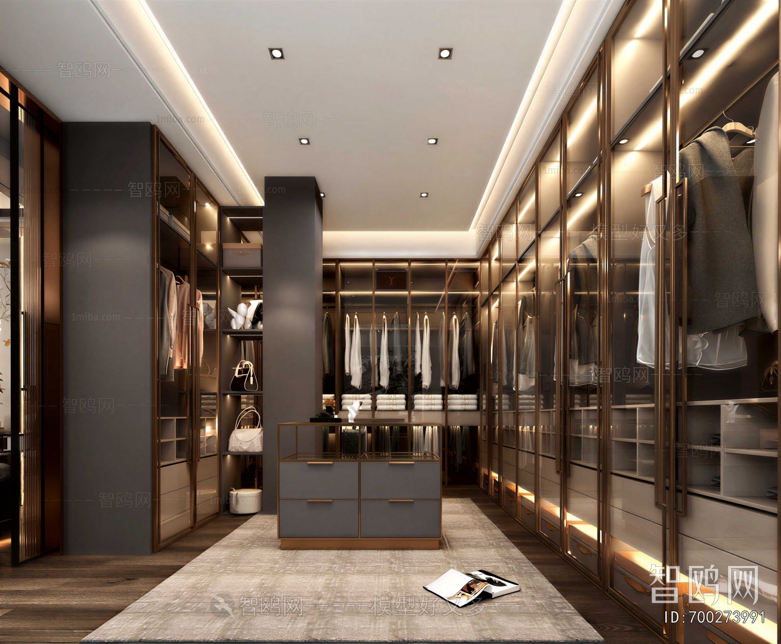 Modern Clothes Storage Area