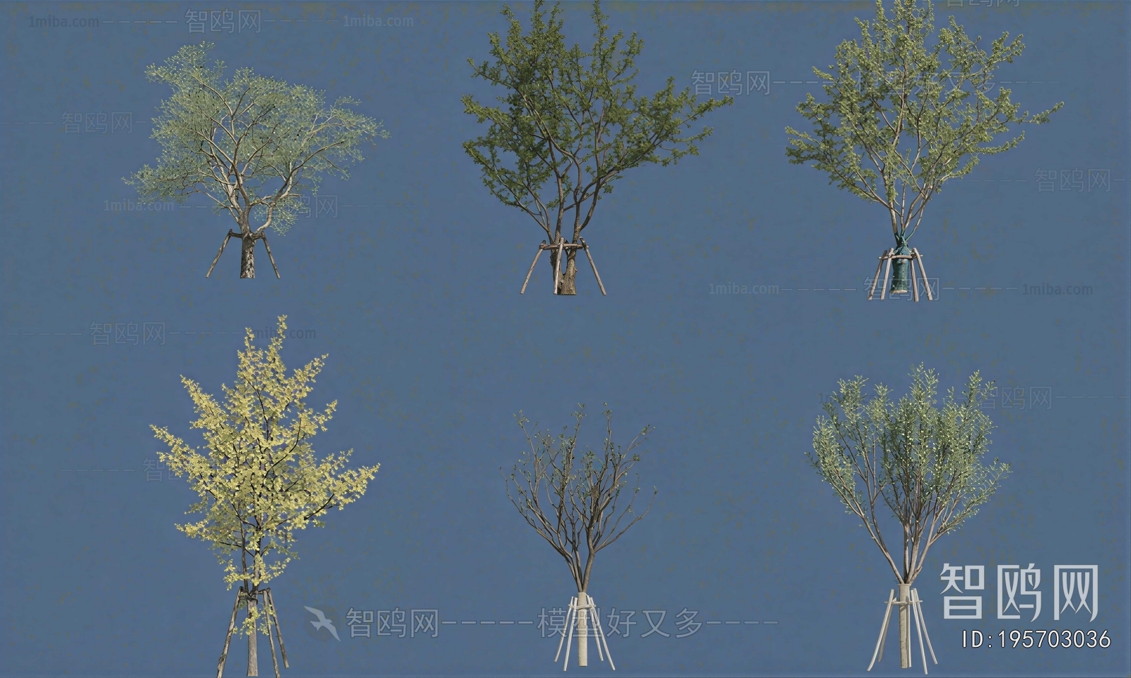 Modern Tree