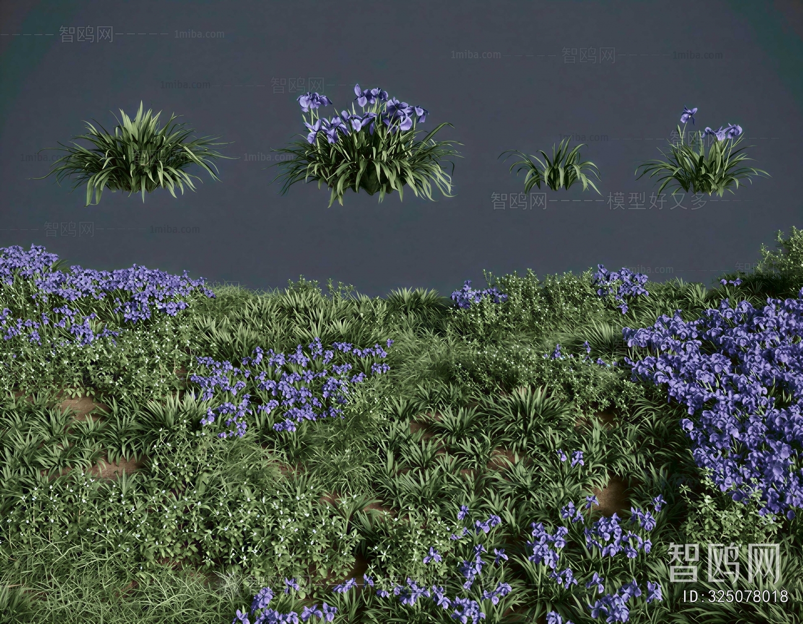 Modern The Grass