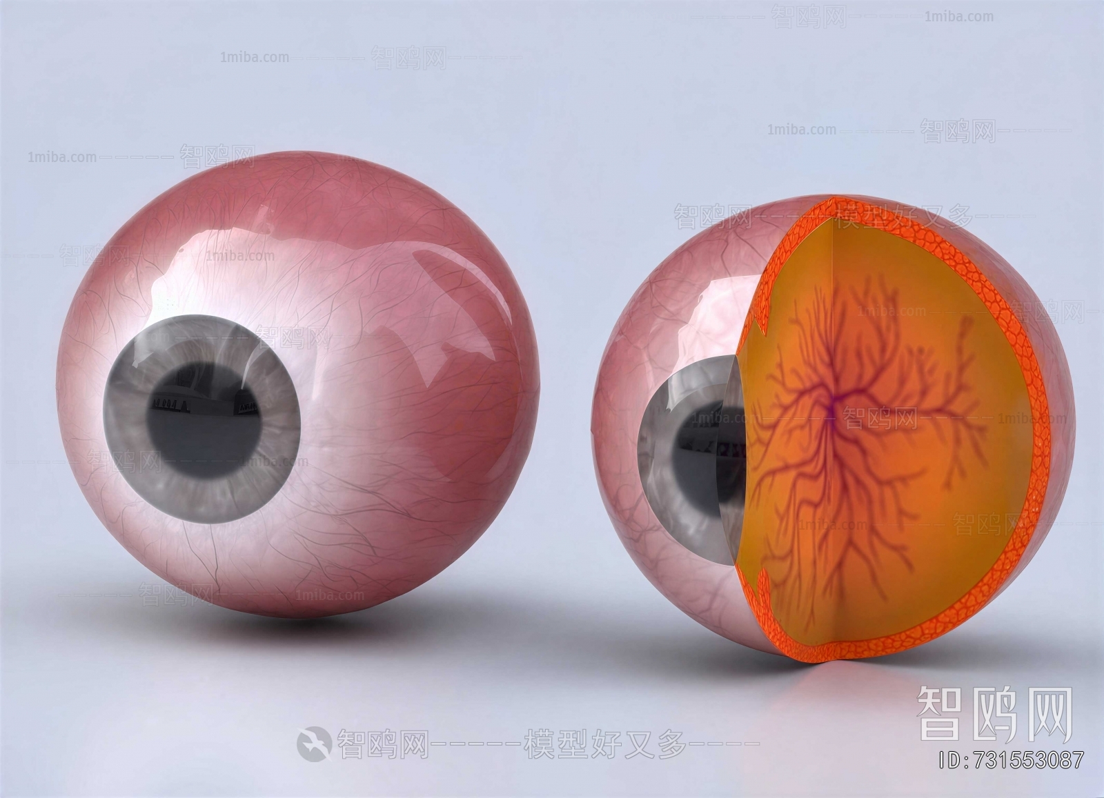 Modern Medical Equipment