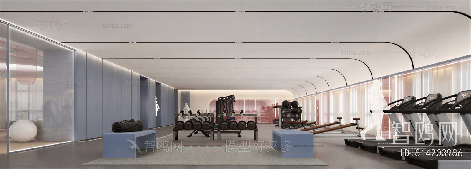 Modern Gym
