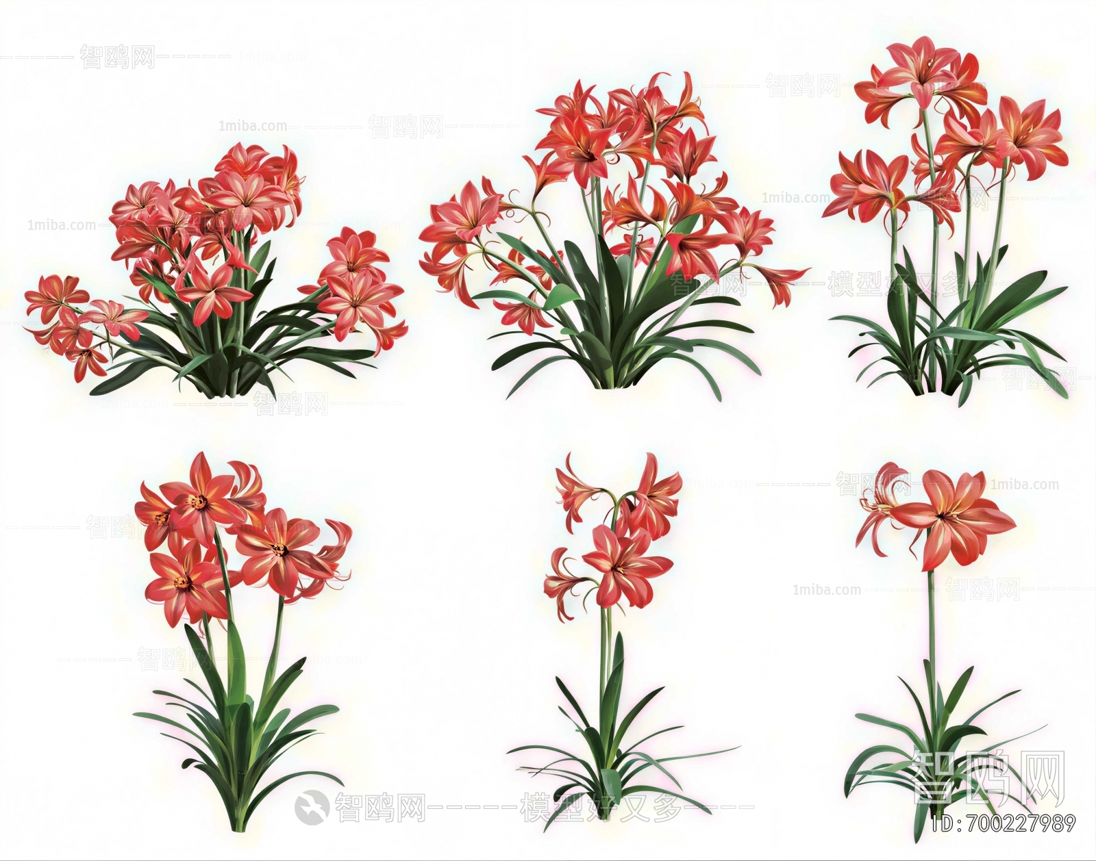 Modern Flowers And Grass