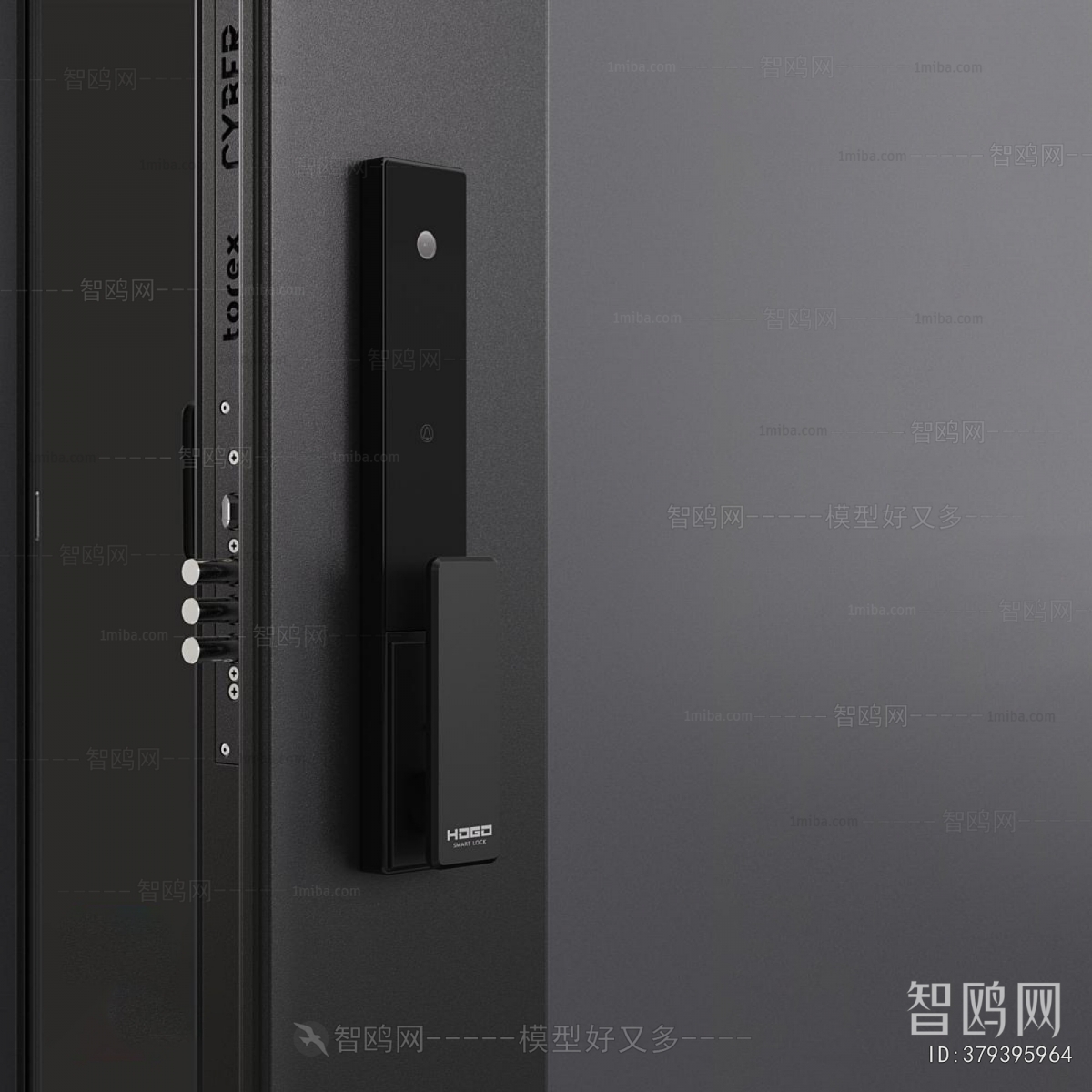 Modern Entrance Door