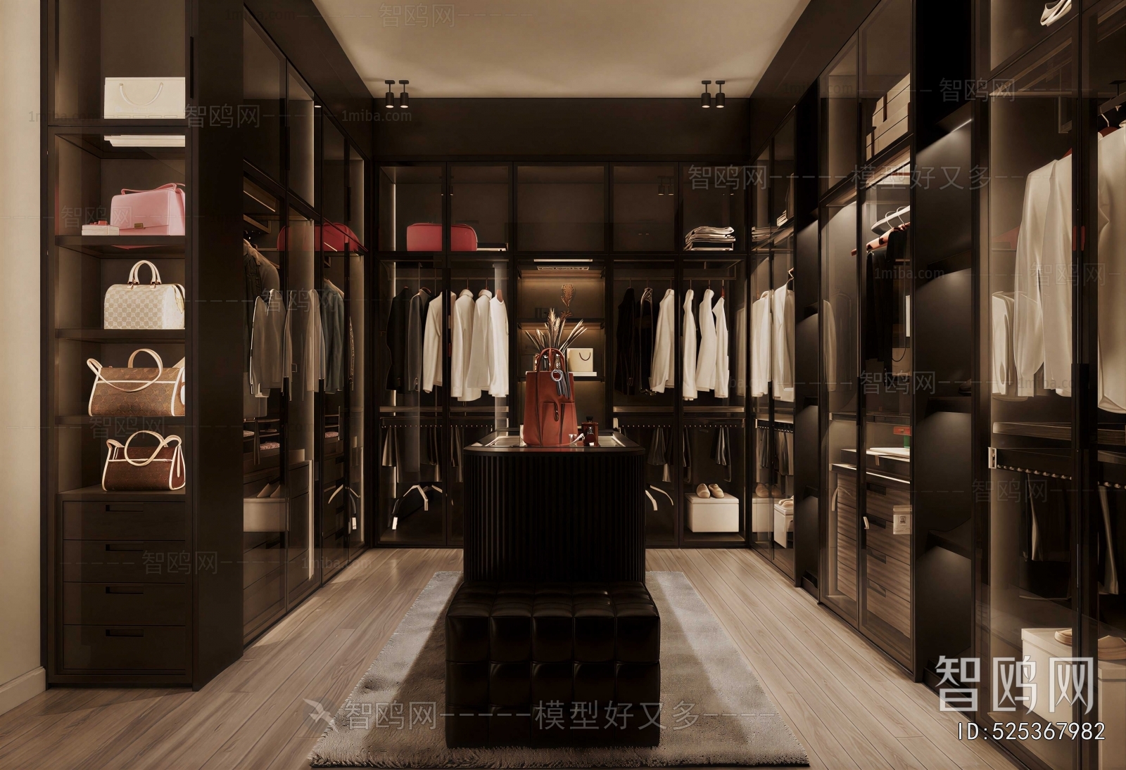 Modern Clothes Storage Area
