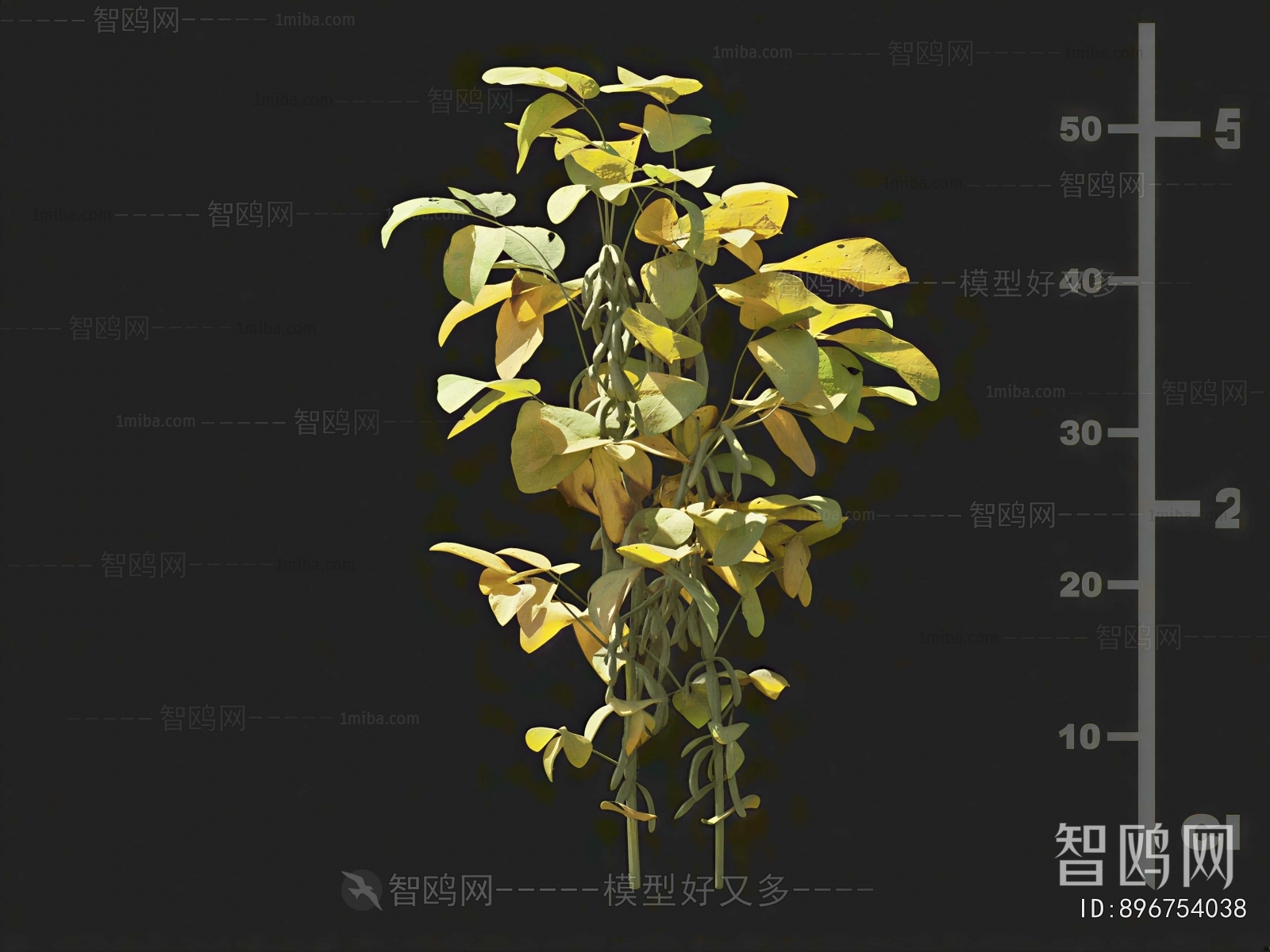 Modern Crop