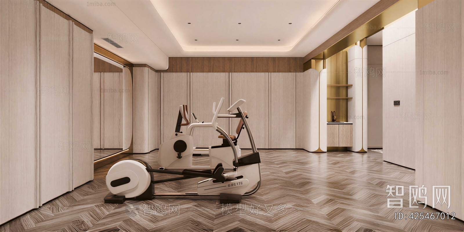 Modern Home Fitness Room