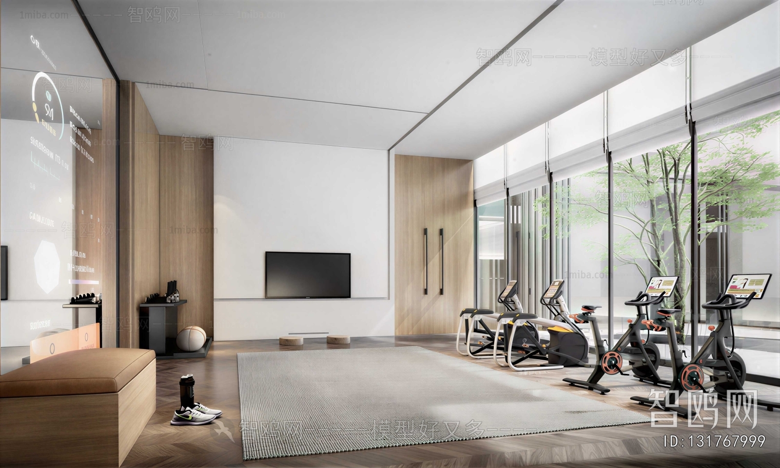 Modern Home Fitness Room