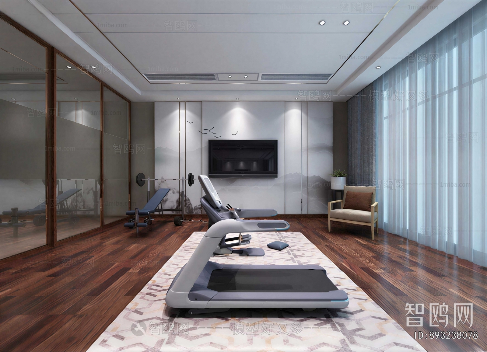 Modern Home Fitness Room